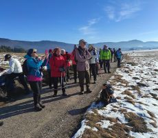 Mrazišča Babnega polja